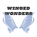 Winged Wonders
